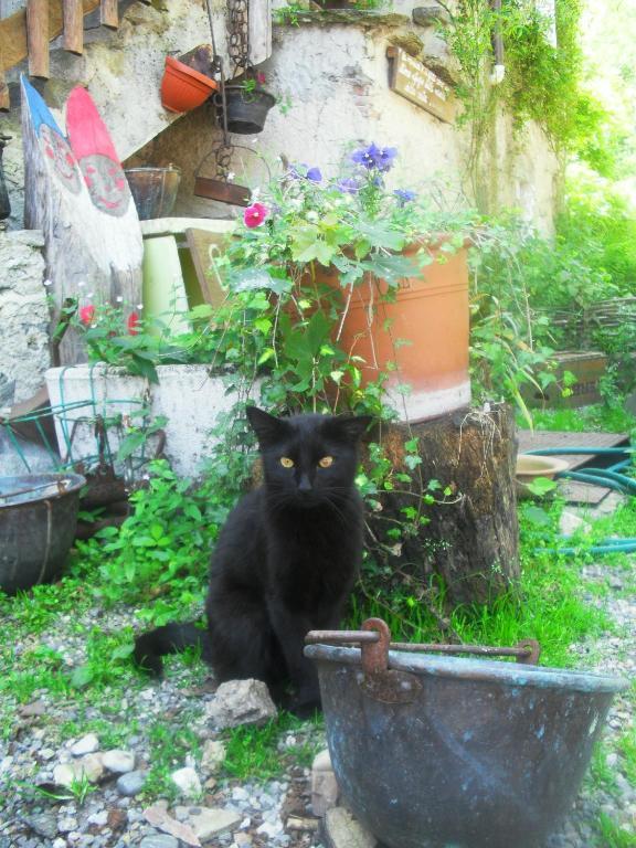 B&B Il Gatto Nero Castelveccana Buitenkant foto